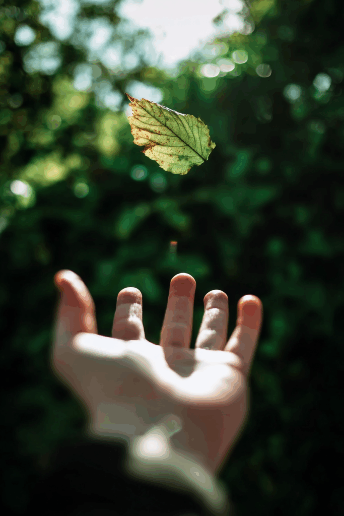 asseureka eduquer ecologie